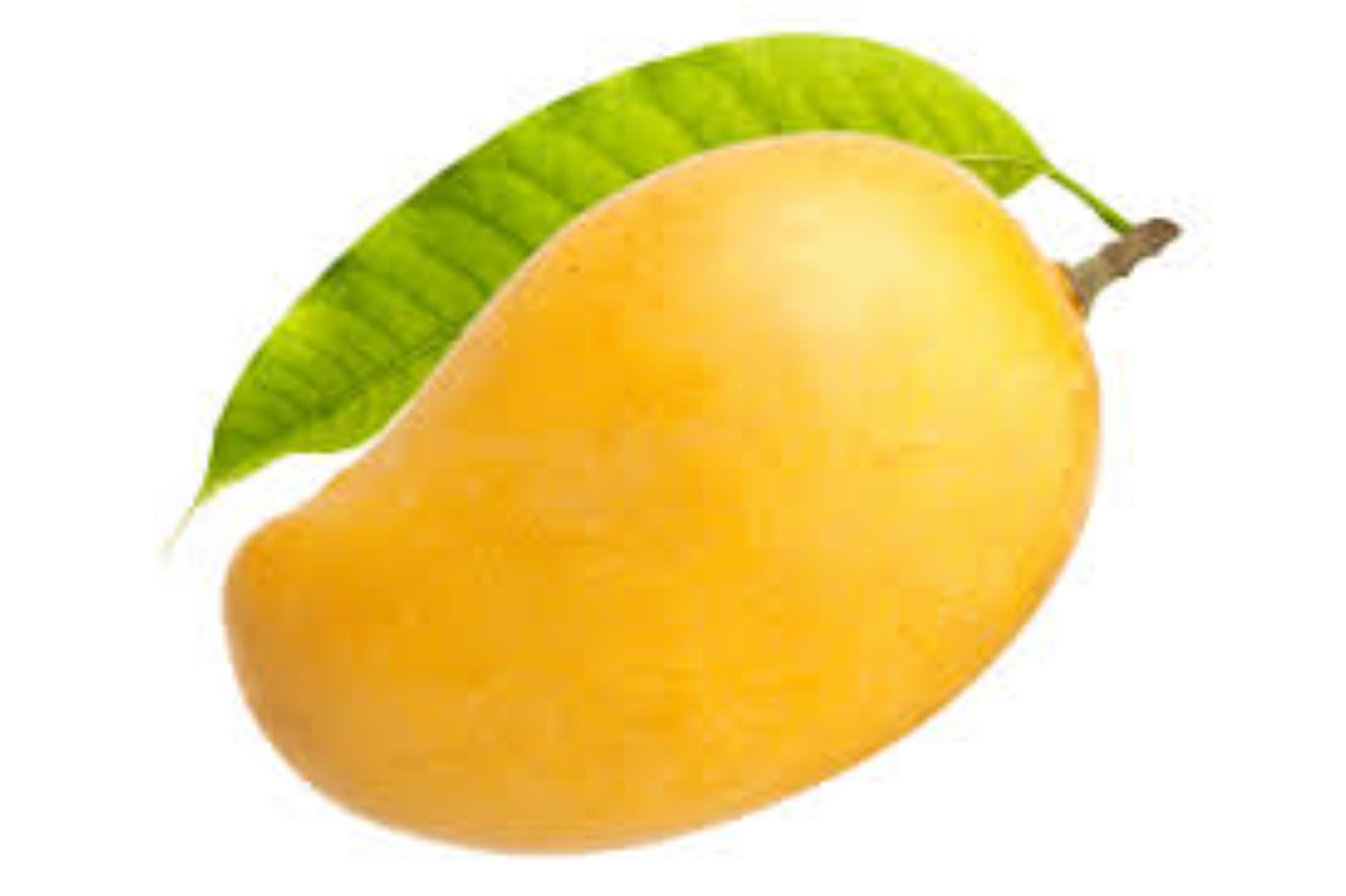FRUITFULL MANGO 1LT